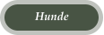 Hunde