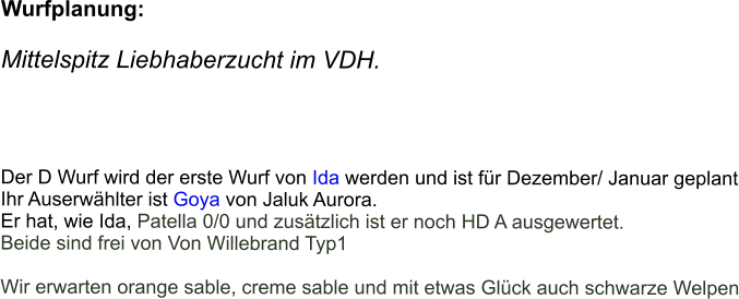 Wurfplanung:  Mittelspitz Liebhaberzucht im VDH.      Der D Wurf wird der erste Wurf von Ida werden und ist für Dezember/ Januar geplant Ihr Auserwählter ist Goya von Jaluk Aurora.  Er hat, wie Ida, Patella 0/0 und zusätzlich ist er noch HD A ausgewertet.  Beide sind frei von Von Willebrand Typ1  Wir erwarten orange sable, creme sable und mit etwas Glück auch schwarze Welpen