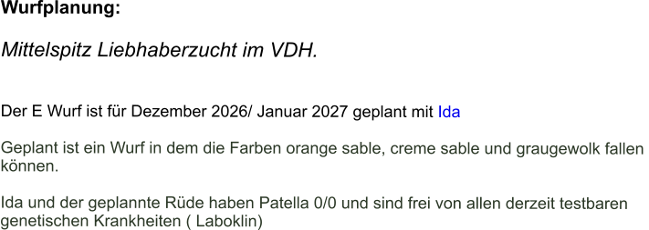 Wurfplanung:  Mittelspitz Liebhaberzucht im VDH.                                                        Der E Wurf ist für Dezember 2026/ Januar 2027 geplant mit Ida  Geplant ist ein Wurf in dem die Farben orange sable, creme sable und graugewolk fallen  können.  Ida und der geplannte Rüde haben Patella 0/0 und sind frei von allen derzeit testbaren  genetischen Krankheiten ( Laboklin)