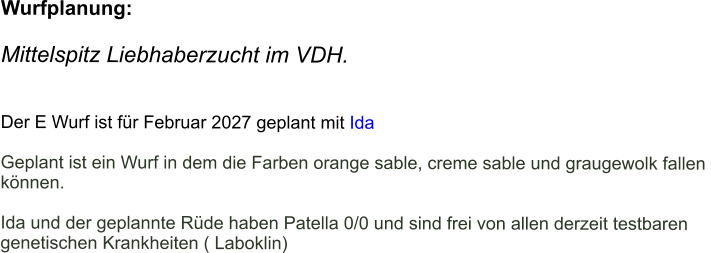 Wurfplanung:  Mittelspitz Liebhaberzucht im VDH.                                                        Der E Wurf ist für Februar 2027 geplant mit Ida  Geplant ist ein Wurf in dem die Farben orange sable, creme sable und graugewolk fallen  können.  Ida und der geplannte Rüde haben Patella 0/0 und sind frei von allen derzeit testbaren  genetischen Krankheiten ( Laboklin)